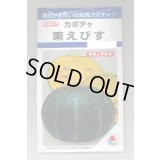 送料無料　[かぼちゃ]　栗えびす　19粒　タキイ種苗(株)　DF