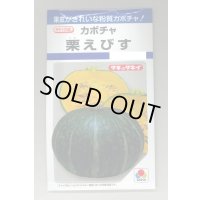 送料無料　[かぼちゃ]　栗えびす　19粒　タキイ種苗(株)　DF