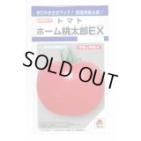 送料無料　[トマト/桃太郎系]　ホーム桃太郎ＥＸ　29粒　タキイ種苗(株)　DF