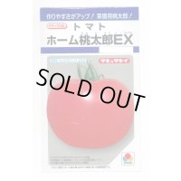 送料無料　[トマト/桃太郎系]　ホーム桃太郎ＥＸ　29粒　タキイ種苗(株)　DF