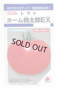 送料無料　[トマト/桃太郎系]　ホーム桃太郎ＥＸ　29粒　タキイ種苗(株)　DF