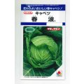 送料無料　[キャベツ]　春波　1.2ml(約130粒)　タキイ種苗(株)　DF