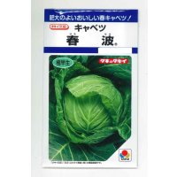送料無料　[キャベツ]　春波　1.2ml(約130粒)　タキイ種苗(株)　DF