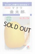 送料無料　[瓜類]　マクワ　金太郎　60粒　タキイ種苗(株)　DF