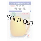 送料無料　[瓜類]　マクワ　金太郎　60粒　タキイ種苗(株)　DF