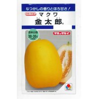 [瓜類]　マクワ　金太郎　60粒　タキイ種苗（株）　DF