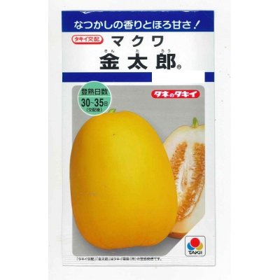 画像1: [瓜類]　マクワ　金太郎　60粒　タキイ種苗（株）　DF