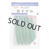 送料無料　[キュウリ]　夏すずみ　15粒　タキイ種苗(株)　DF