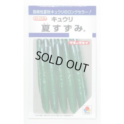 画像1: 送料無料　[キュウリ]　夏すずみ　15粒　タキイ種苗(株)　DF