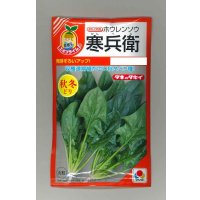 送料無料　[ほうれんそう]　寒兵衛　40ml　タキイ種苗(株)　RF