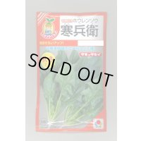 送料無料　[ほうれんそう]　寒兵衛　40ml　タキイ種苗(株)　RF