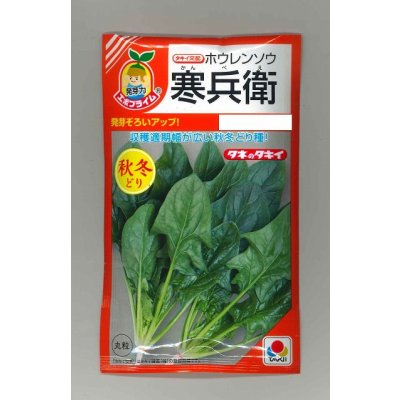 画像1: 送料無料　[ほうれんそう]　寒兵衛　40ml　タキイ種苗(株)　RF