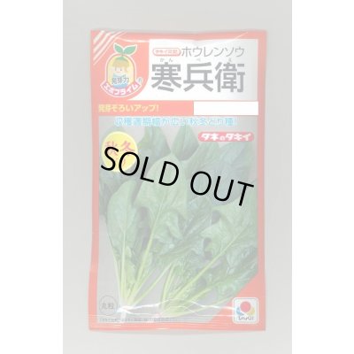 画像1: 送料無料　[ほうれんそう]　寒兵衛　40ml　タキイ種苗(株)　RF