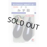 送料無料　[なす]　みず茄子　50粒　タキイ種苗(株)　DF