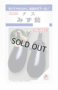 送料無料　[なす]　みず茄子　50粒　タキイ種苗(株)　DF
