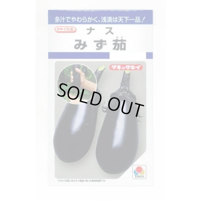 画像1: 送料無料　[なす]　みず茄子　50粒　タキイ種苗(株)　DF