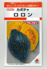 送料無料　[かぼちゃ]　ロロン　8粒　タキイ種苗(株)　RF