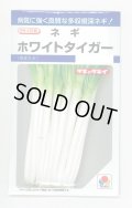 送料無料　[ねぎ]　ホワイトタイガー　8ml　タキイ種苗(株)　DF