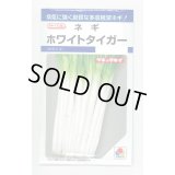 送料無料　[ねぎ]　ホワイトタイガー　8ml　タキイ種苗(株)　DF
