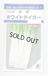 送料無料　[ねぎ]　ホワイトタイガー　8ml　タキイ種苗(株)　DF