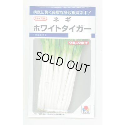画像1: 送料無料　[ねぎ]　ホワイトタイガー　8ml　タキイ種苗(株)　DF