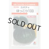 送料無料　[かぼちゃ]　ほっこり133　9粒　タキイ種苗(株)　RF