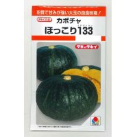 [かぼちゃ]　ほっこり133　9粒　タキイ種苗（株）　RF　