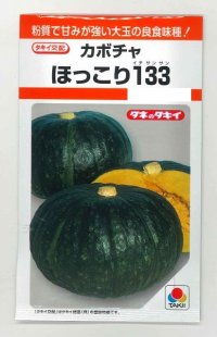 [かぼちゃ]　ほっこり133　9粒　タキイ種苗（株）　RF　