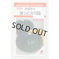 送料無料　[かぼちゃ]　ほっこり133　9粒　タキイ種苗(株)　RF