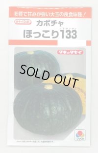 送料無料　[かぼちゃ]　ほっこり133　9粒　タキイ種苗(株)　RF