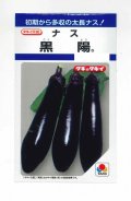 送料無料　[なす]　黒陽　60粒　タキイ種苗(株)　DF