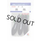送料無料　[なす]　黒陽　60粒　タキイ種苗(株)　DF