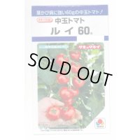 送料無料　[トマト/中玉トマト]　ルイ60　18粒　タキイ種苗　DF