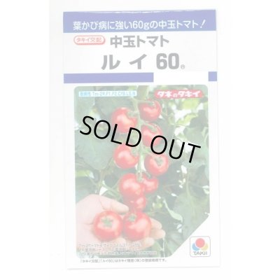 画像1: 送料無料　[トマト/中玉トマト]　ルイ60　18粒　タキイ種苗　DF
