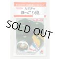 送料無料　[かぼちゃ]　ほっこり姫　9粒　タキイ種苗(株)　RF