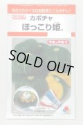 送料無料　[かぼちゃ]　ほっこり姫　9粒　タキイ種苗(株)　RF
