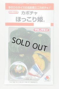 送料無料　[かぼちゃ]　ほっこり姫　9粒　タキイ種苗(株)　RF