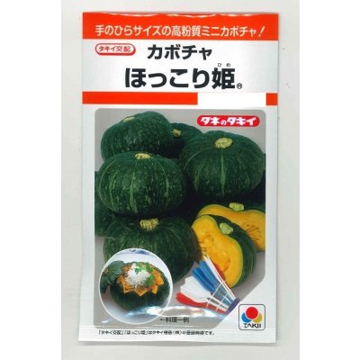 画像1: 送料無料　[かぼちゃ]　ほっこり姫　9粒　タキイ種苗(株)　RF