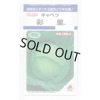 [キャベツ] 彩里1.1ml(約200粒) タキイ種苗(株) DF
