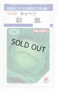 [キャベツ] 彩里1.1ml(約200粒) タキイ種苗(株) DF