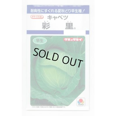 画像1: [キャベツ] 彩里1.1ml(約200粒) タキイ種苗(株) DF