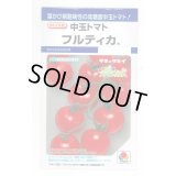 送料無料　[トマト/中玉トマト]　フルティカ　16粒　タキイ種苗(株)　DF