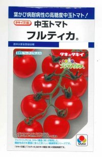 [トマト/中玉トマト]　フルティカ　16粒　タキイ種苗（株）　DF　