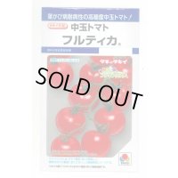 [トマト/中玉トマト] フルティカ 16粒 タキイ種苗(株) DF