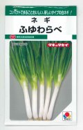送料無料　[ねぎ]　ふゆわらべ　4.5ml　タキイ種苗　GF