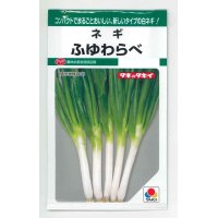 [ねぎ]　ふゆわらべ　4.5ml　タキイ種苗　GF