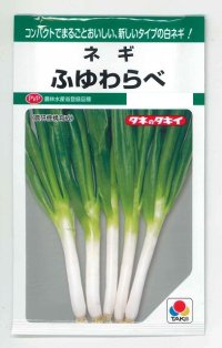 [ねぎ]　ふゆわらべ　4.5ml　タキイ種苗　GF