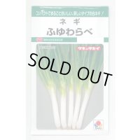 [ねぎ] ふゆわらべ 4.5ml タキイ種苗 GF