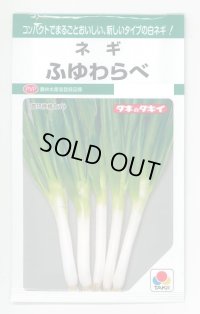 [ねぎ] ふゆわらべ 4.5ml タキイ種苗 GF