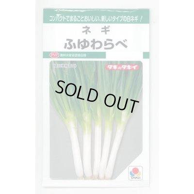 画像1: [ねぎ] ふゆわらべ 4.5ml タキイ種苗 GF